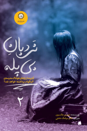 نردبان بی پله جلد 2