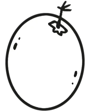 فنچ